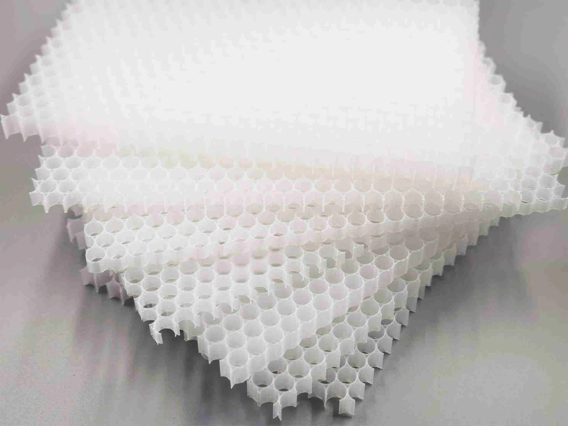 PP honeycomb core 1