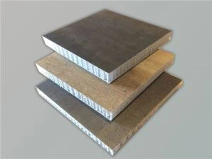 Thermoplastic Wall Panel
