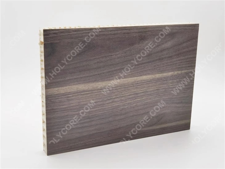 PP Honeycomb Thermoplastic Panels with Wood Veneer for Kitchen Furniture