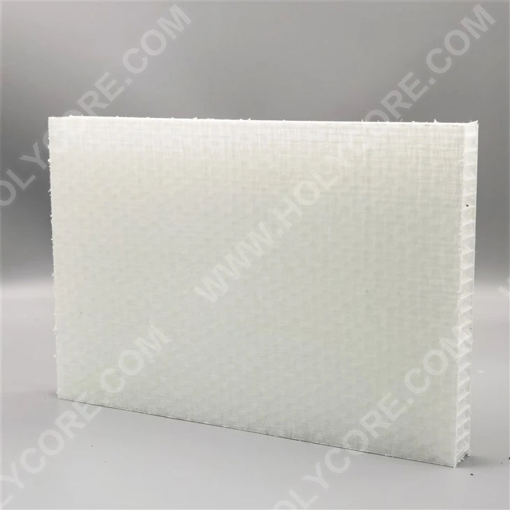 Customizable Lightweight and High-strength Thermoplastic FRP PP Honeycomb Panel